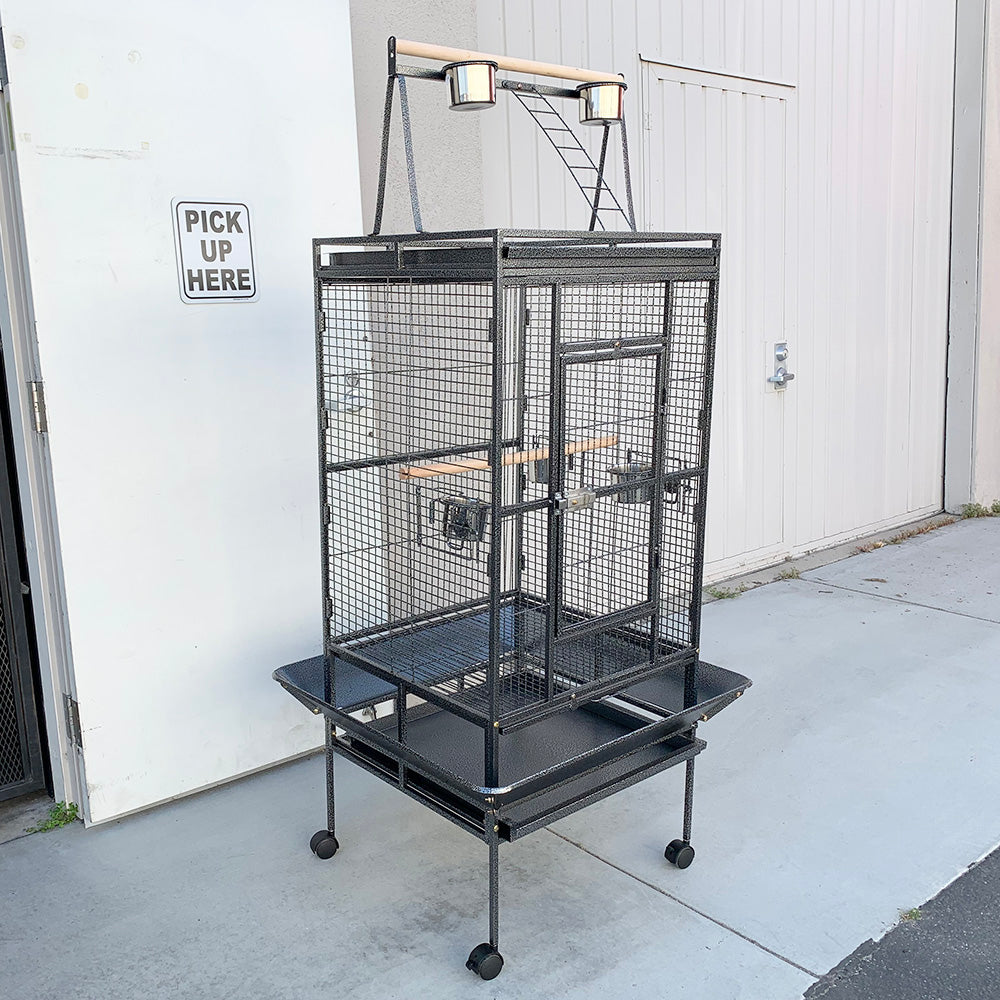 DISEASES OF CAGE AND AVIARY BIRDS レア本 DISEASES OF CAGE AND AVIARY BIRDS レア本